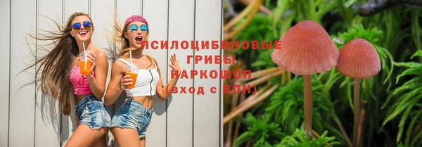 дмт Алзамай