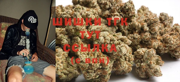 дмт Алзамай