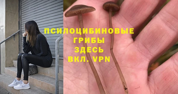 дмт Алзамай