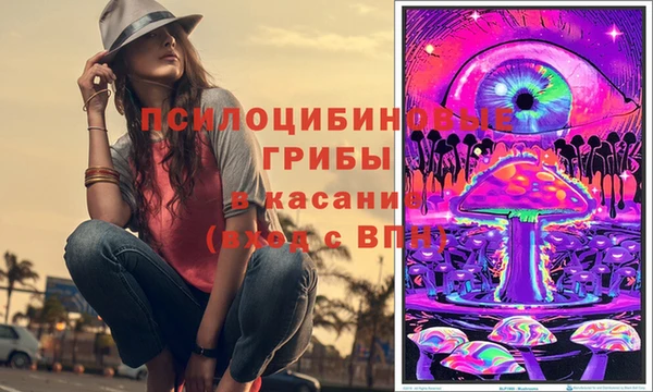 дмт Алзамай