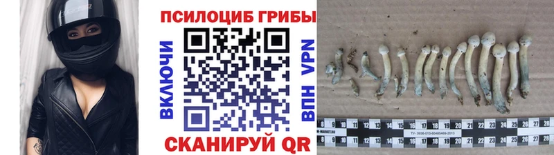 Галлюциногенные грибы GOLDEN TEACHER Когалым
