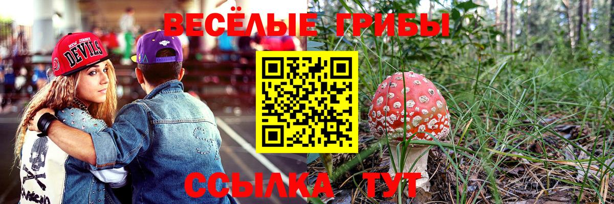 Псилоцибиновые грибы Psilocybine cubensis Когалым